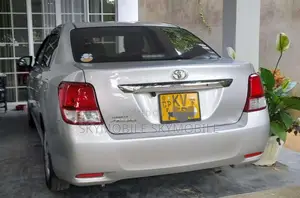 Toyota Axio 161 2013 Car (Used)