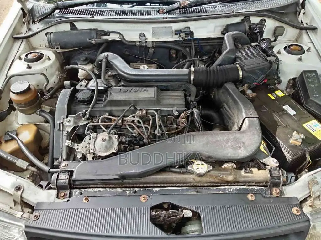 Toyota Corsa NL40 WINDY 1992 Car (Used)