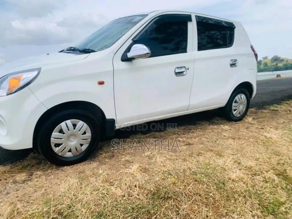 Suzuki Alto 2016 Car (Used)