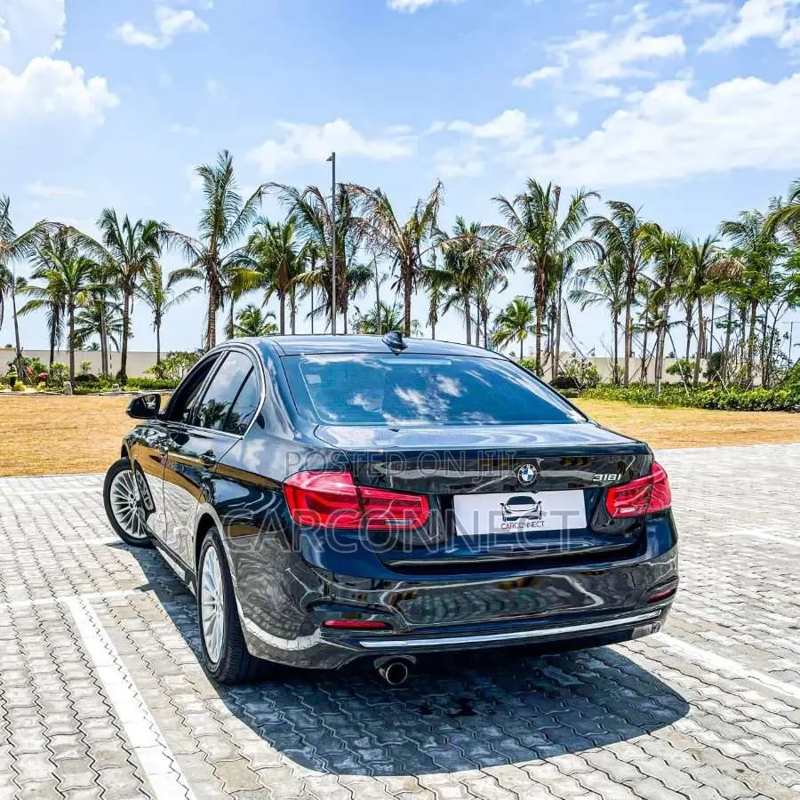 BMW 318i Luxury Line 2016 Car (Used)