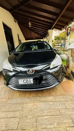 Toyota Vitz 2019 Car (Used)