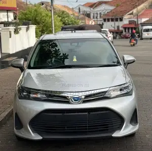 Toyota Axio Fielder 2024 Car (Used)