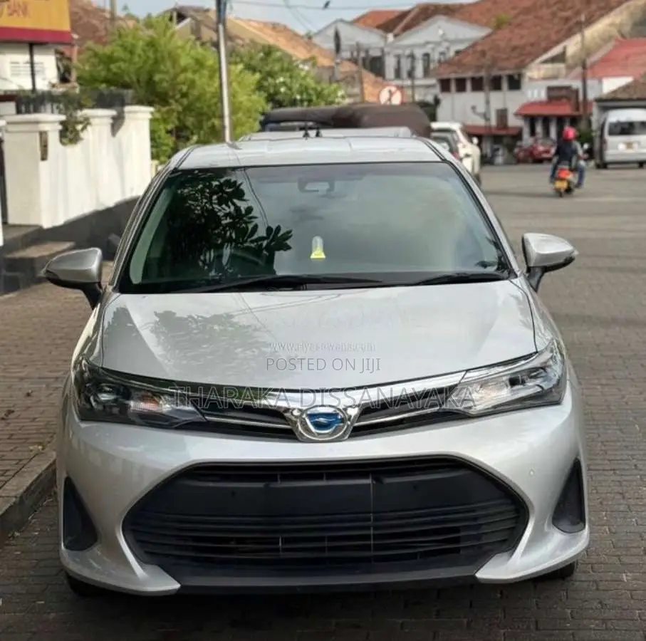 Toyota Axio Fielder 2024 Car (Used)