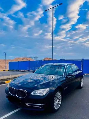 BMW 740Li Active Hybrid 7 Individual 2015 Car (Used)