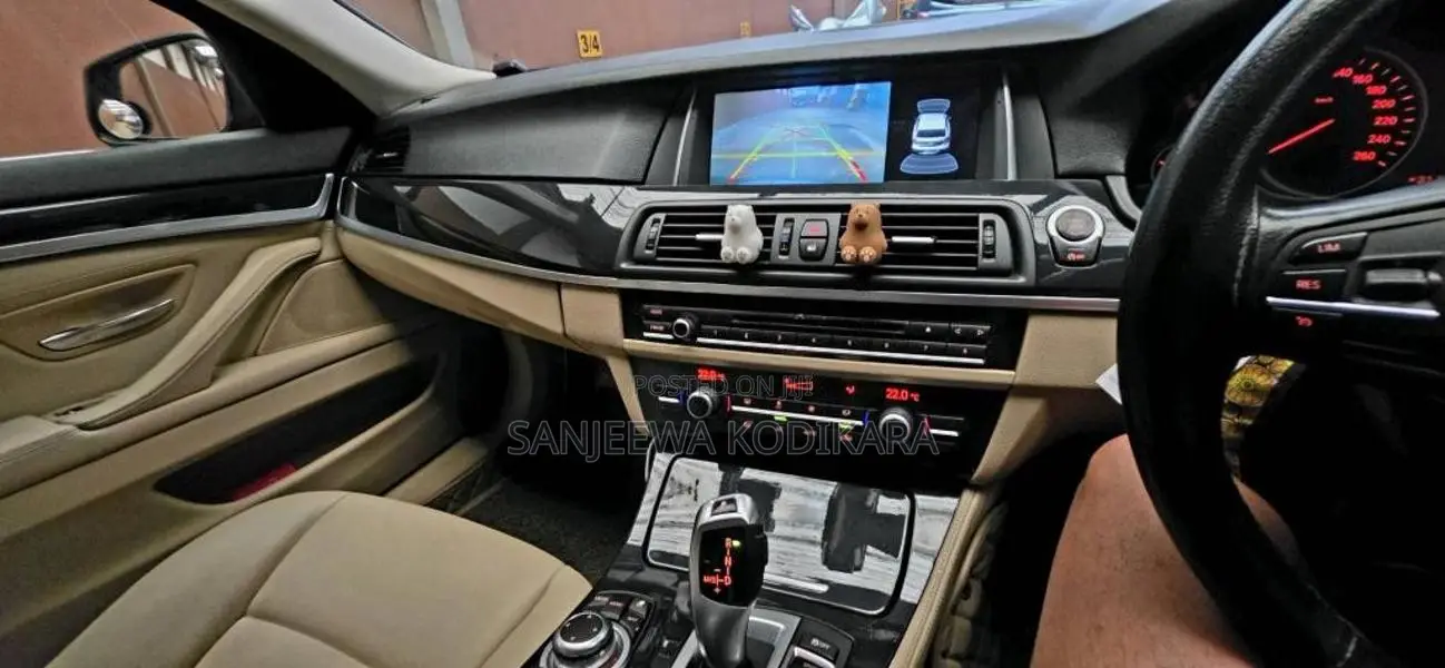 BMW 520D 2013 Car (Used)