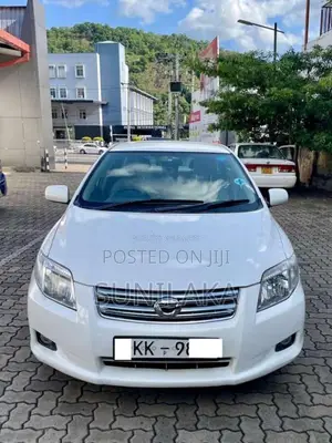 Toyota Axio 2007 Car (Used)