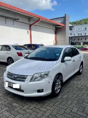 Toyota Axio 2007 Car (Used)