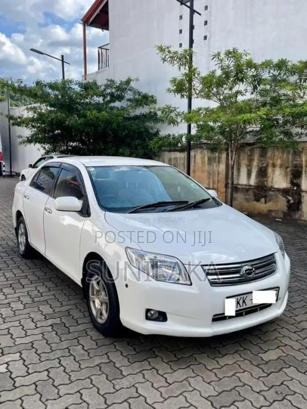 Toyota Axio 2007 Car (Used)