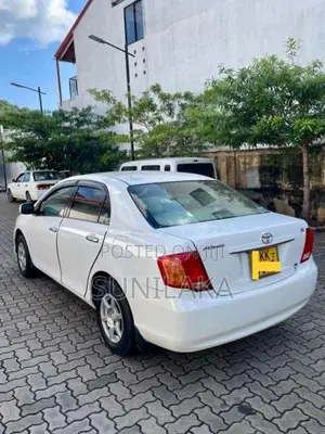 Toyota Axio 2007 Car (Used)