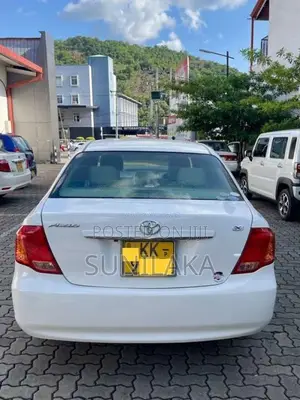 Toyota Axio 2007 Car (Used)