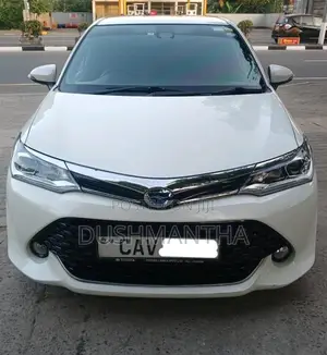 Toyota Axio WXB 2017 Car (Used)