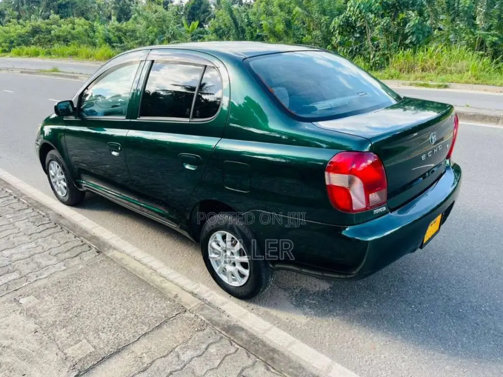 Toyota Echo Platz 1999 Car (Used)