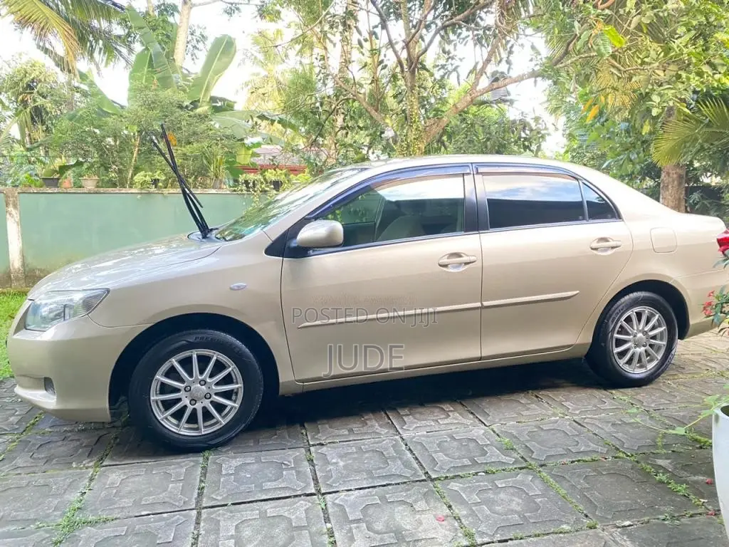 Toyota Axio X Limited 2010 Car (Used)