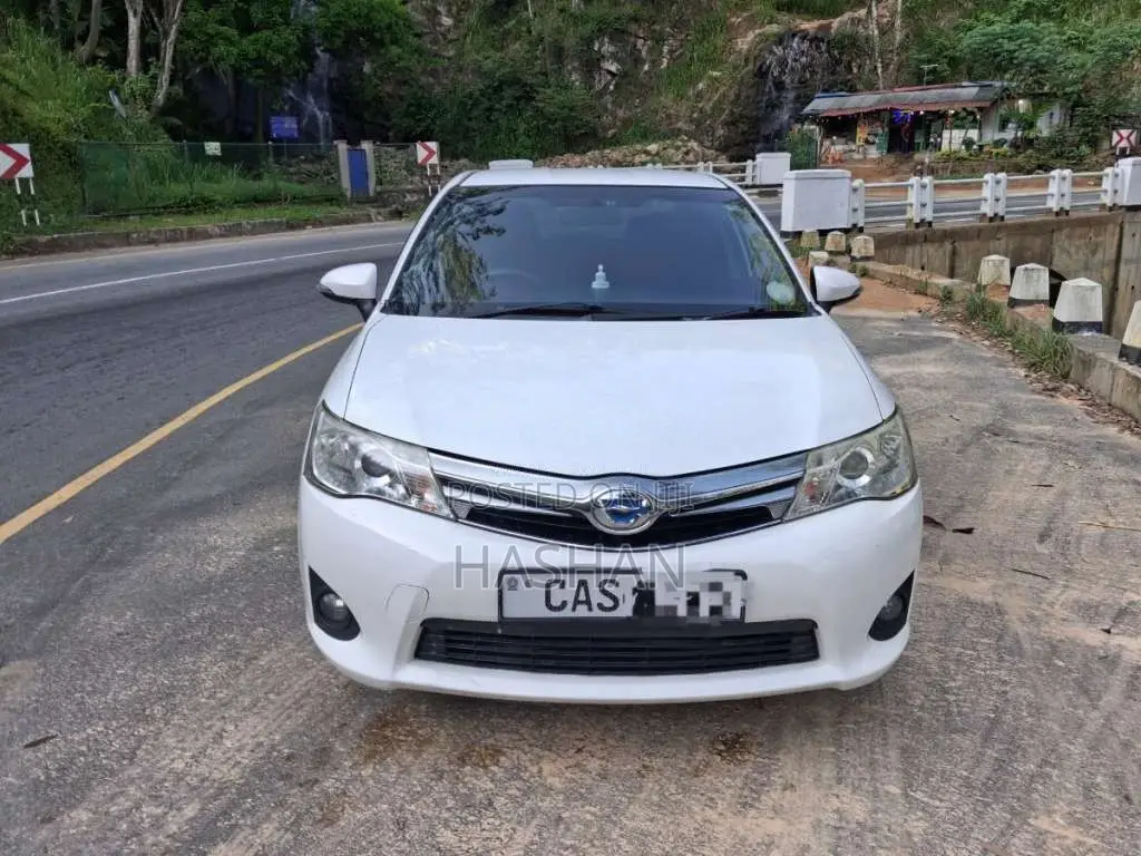 Toyota Axio 2014 Car (Used)
