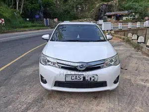 Toyota Axio 2014 Car (Used)