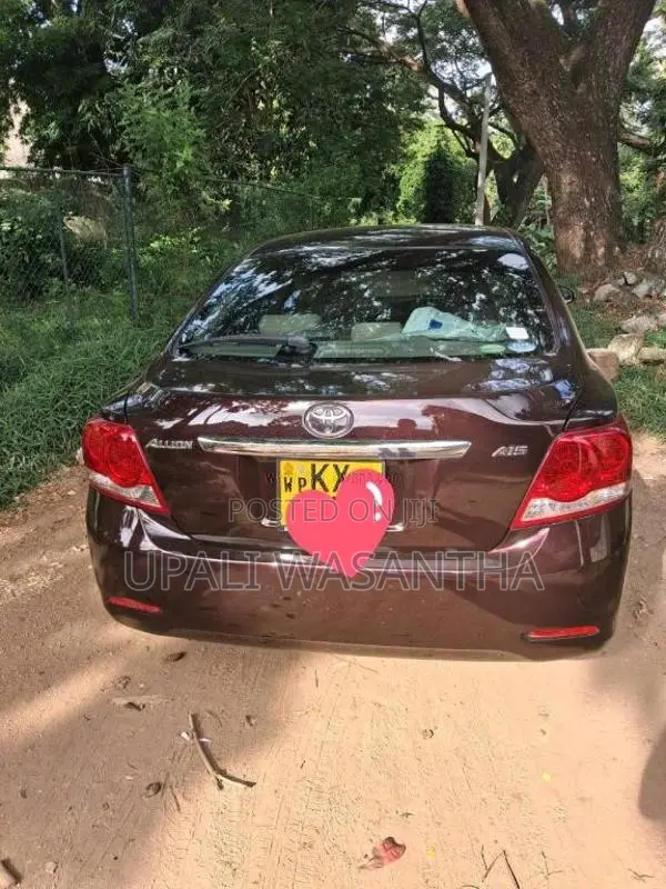 Toyota Allion 2013 Car (Used)