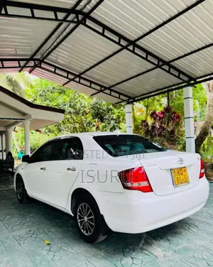 Toyota Axio X Grade 2010 Car (Used)