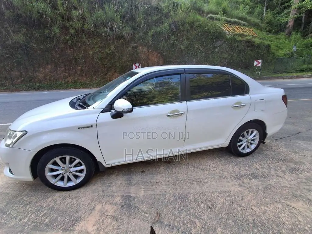 Toyota Axio 2014 Car (Used)