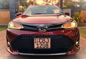 Toyota Axio WXB 2019 Car (Used)