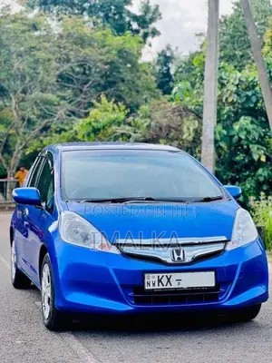 Toyota FIT GP1 10th Anniversary 2012 Car (Used)