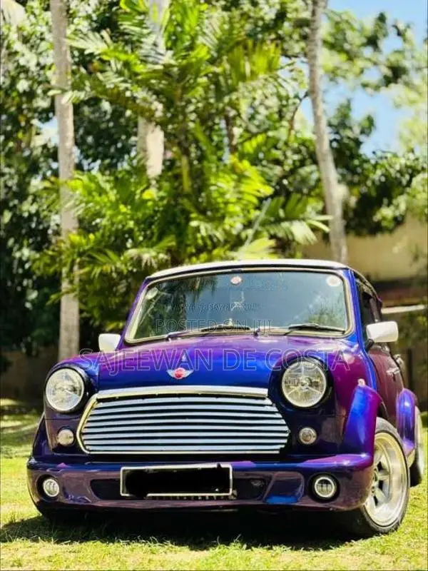 Mini Cooper 1992 Car (Used)
