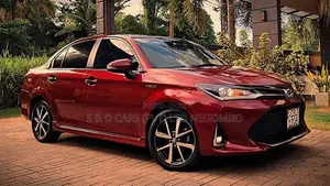 Toyota Axio WXB 2019 Car (Used)