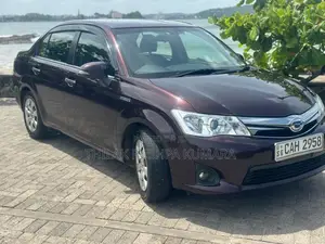 Toyota Axio G Grade 2015 Car (Used)