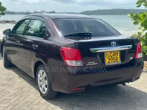 Toyota Axio G Grade 2015 Car (Used)