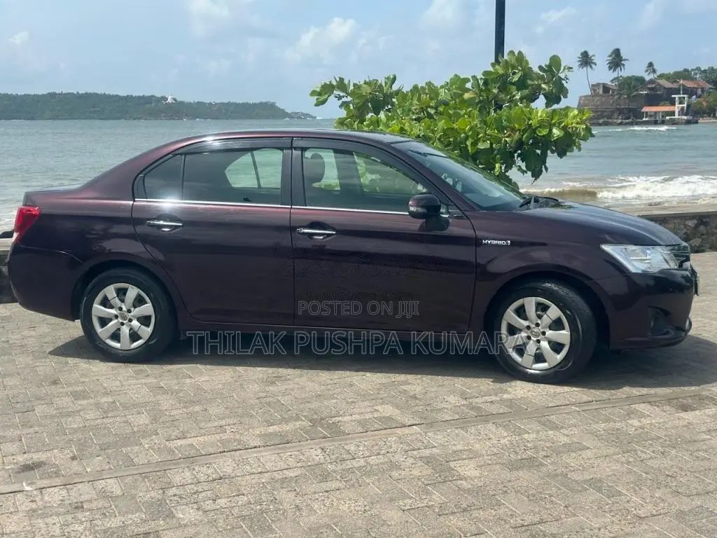 Toyota Axio G Grade 2015 Car (Used)