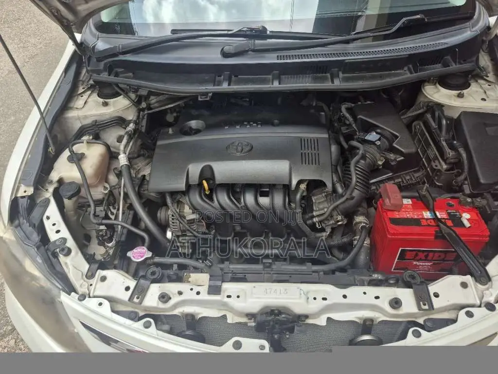 Toyota Allion 260 2013 Car (Used)