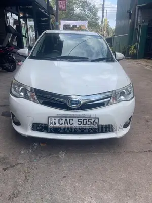 Toyota Axio 2014 Car (Used)