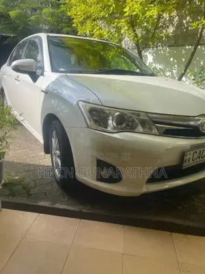 Toyota Axio 2014 Car (Used)