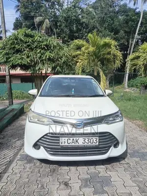 Toyota Axio 2015 Car (Used)