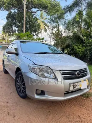 Toyota Axio X Grade 2007 Car (Used)