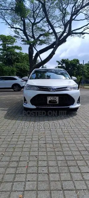 Toyota Axio 2018 Car (Used)