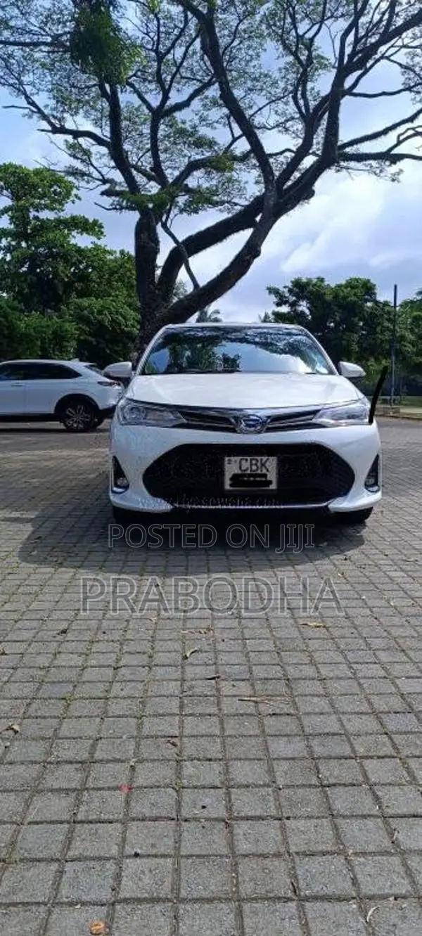 Toyota Axio 2018 Car (Used)