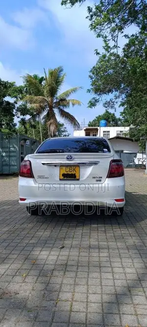 Toyota Axio 2018 Car (Used)