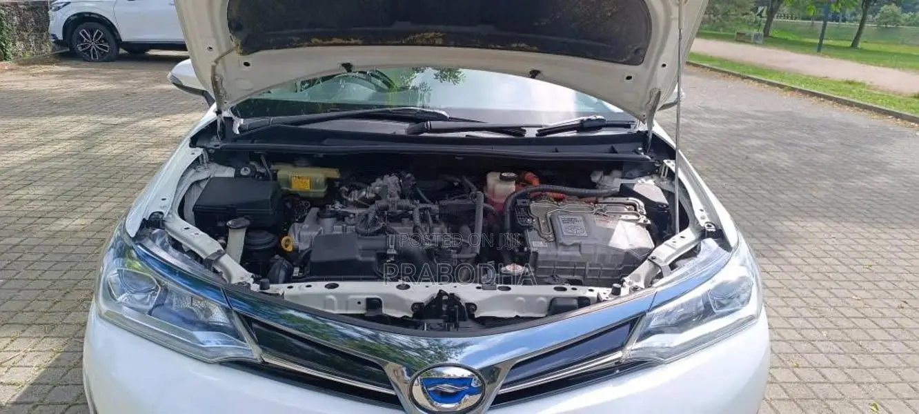 Toyota Axio 2018 Car (Used)