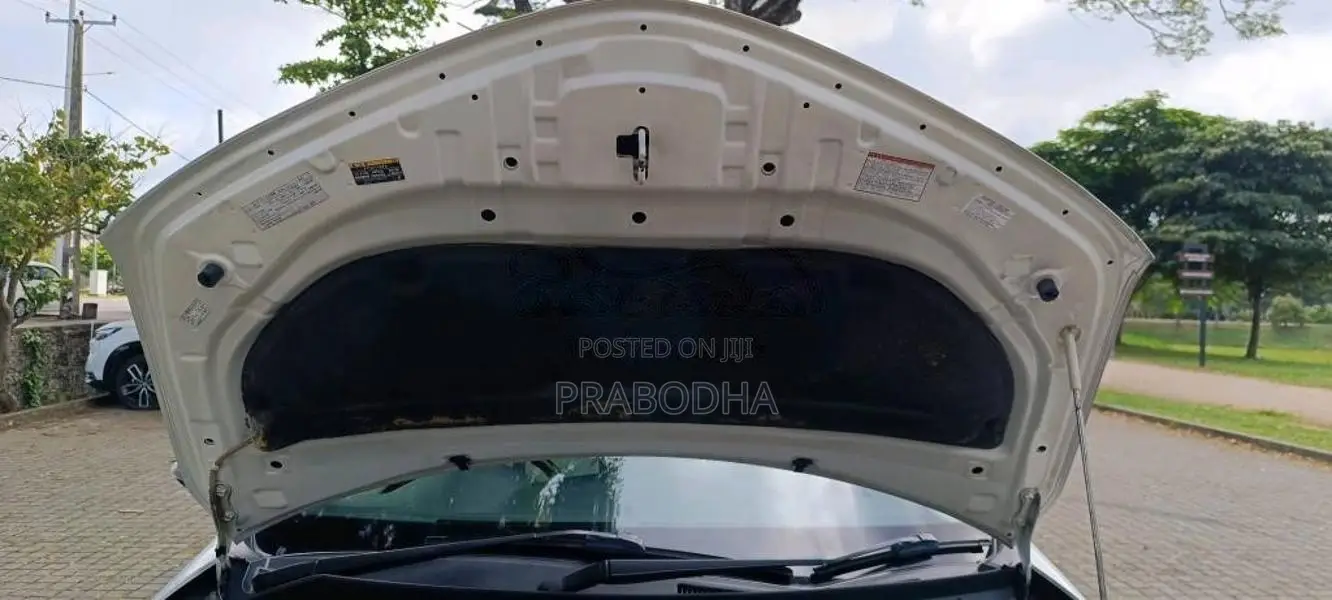 Toyota Axio 2018 Car (Used)