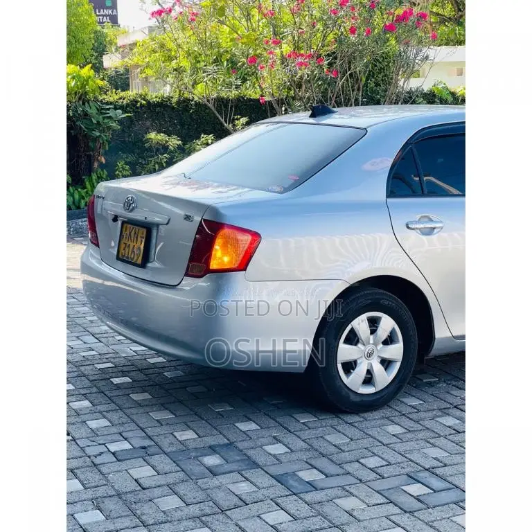 Toyota Axio 2007 Car (Used)