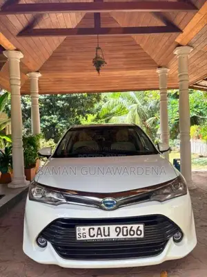 Toyota Axio 2016 Car (Used)