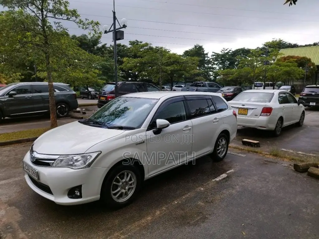 Toyota Axio Fielder 2014 Car (Used)