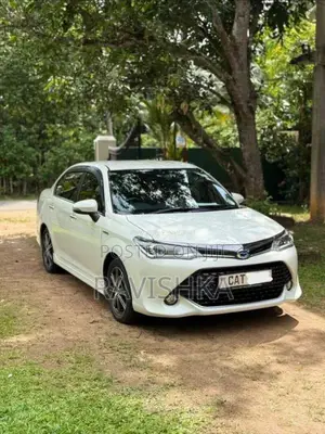 Toyota Axio Wxb 2016 Car (Used)