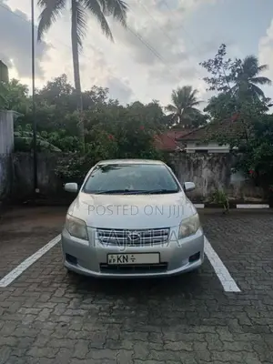 Toyota Axio 2007 Car (Used)