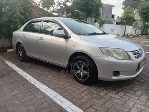 Toyota Axio 2007 Car (Used)
