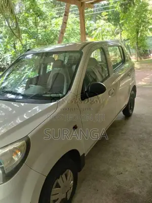 Suzuki Alto 2014 Car (Used)