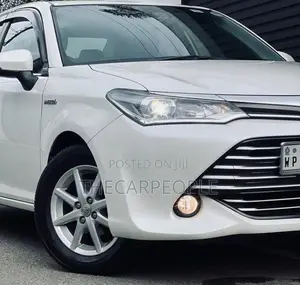 Toyota Axio 2015 Car (Used)
