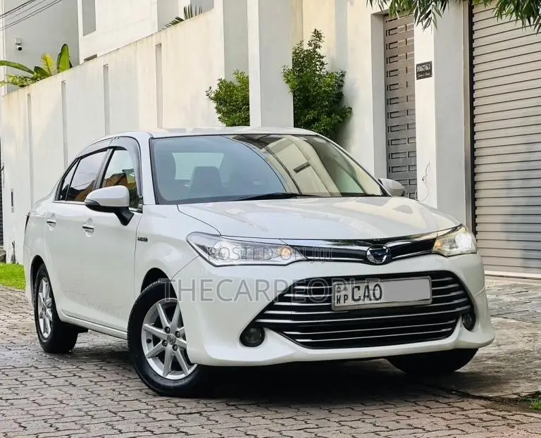 Toyota Axio 2015 Car (Used)