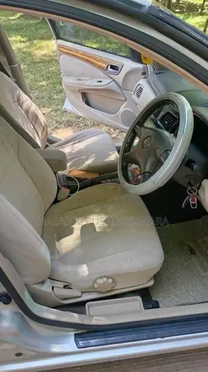 Nissan Sunny 2006 Car (Used)