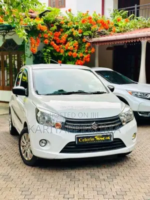 Suzuki Celerio 2014 Car (Used)